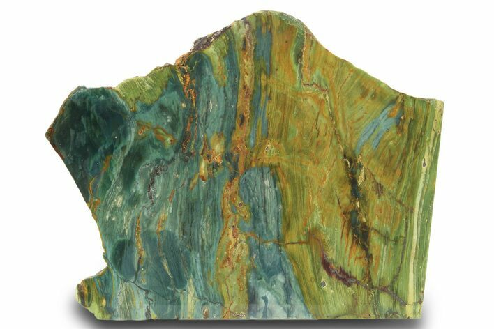 Gary Green Jasper (Larsonite) Bog Wood Slab - Oregon #299309